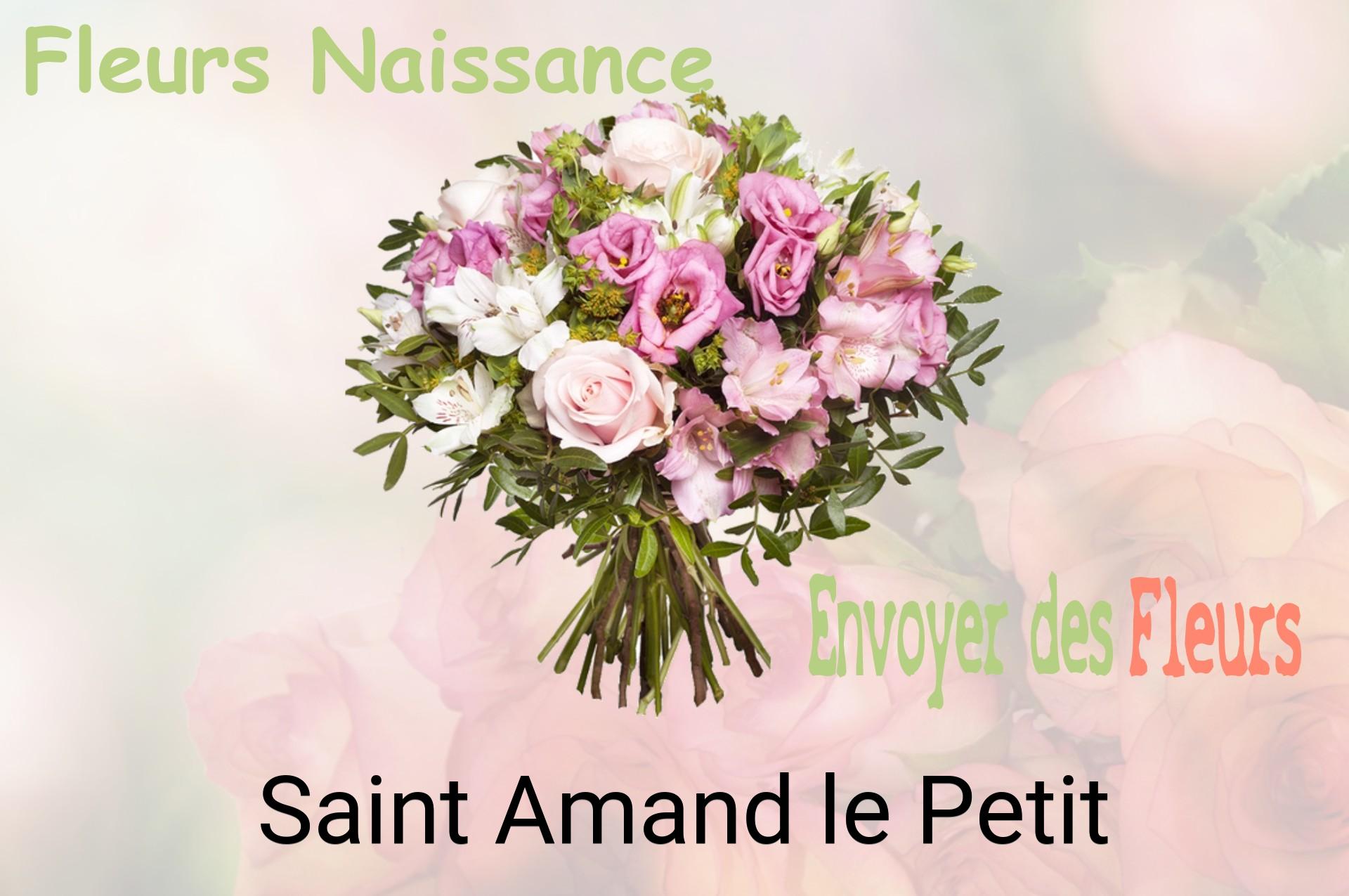 Bouquet de fleurs de naissance livré à Saint-Amand-le-Petit